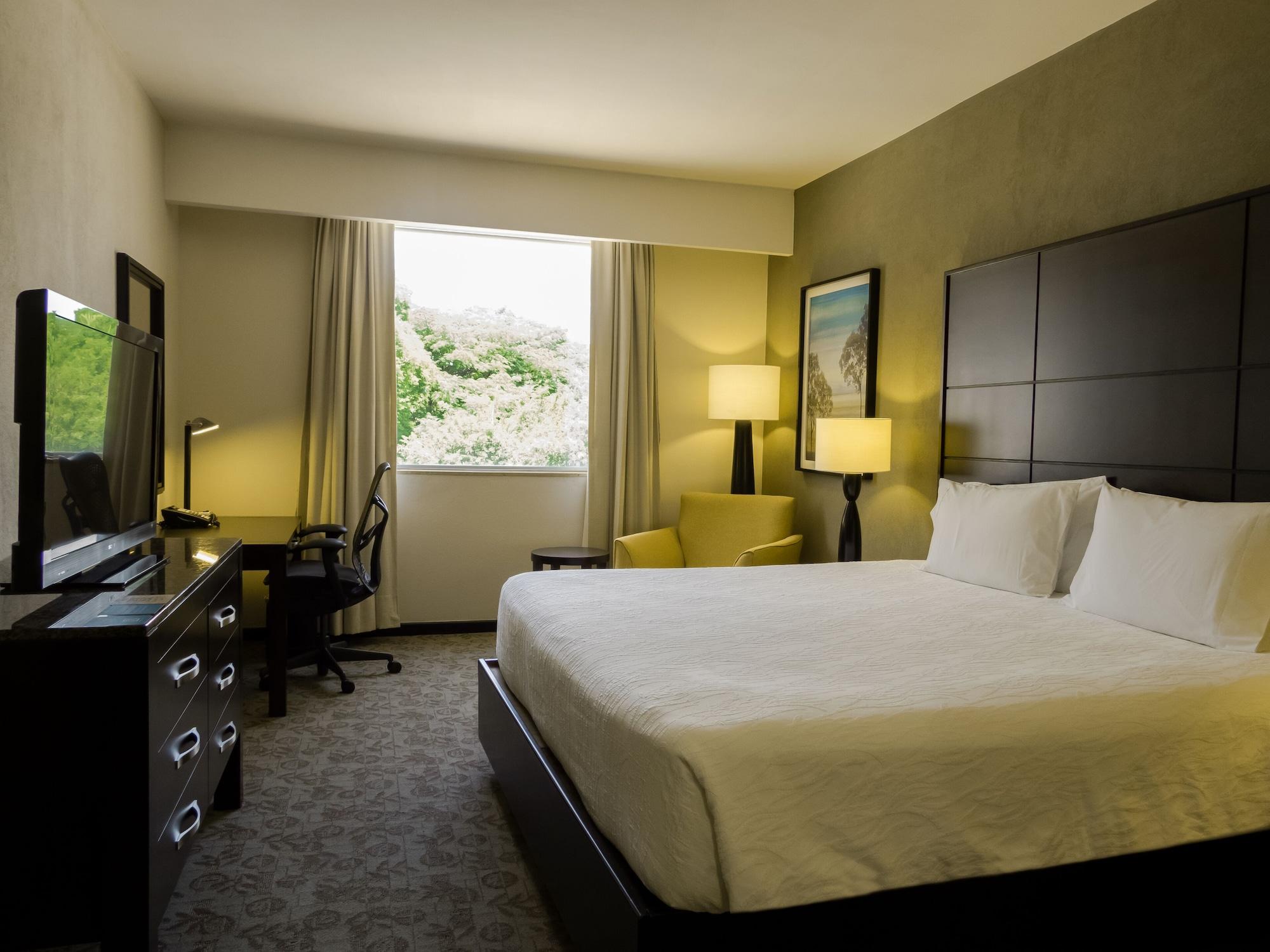 Hilton Garden Inn Tuxtla Gutierrez Luaran gambar